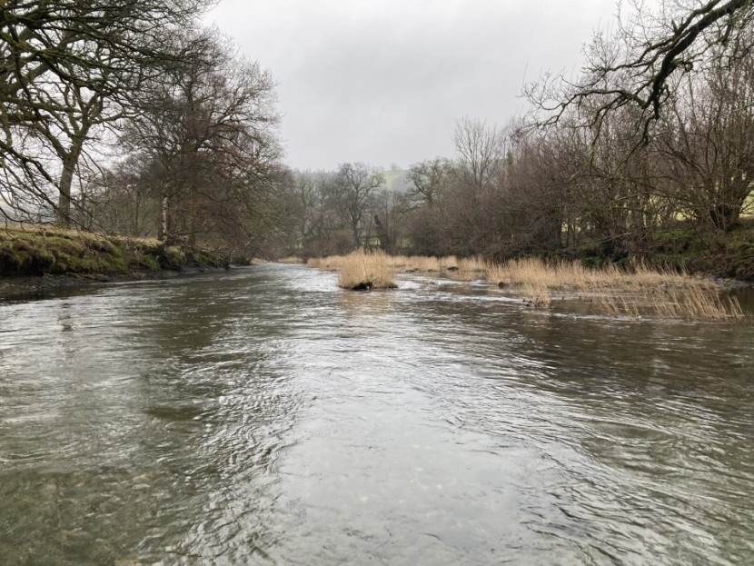 Aberbwtran Irfon - W from Ludlow